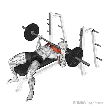 a man is sitting on a bench lifting a barbell over his chest .