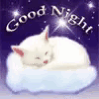 a white cat is sleeping on a cloud with the words `` good night '' above it .