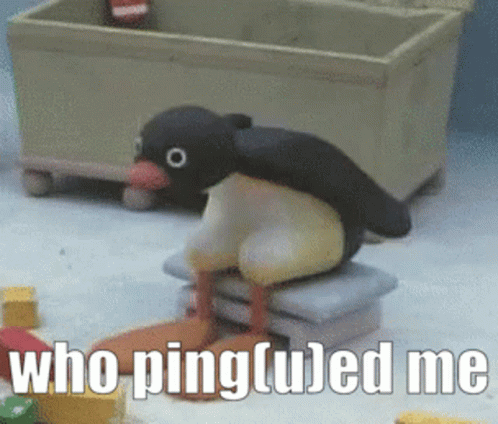 Pingu Discord GIF - Pingu Discord Ping GIFs