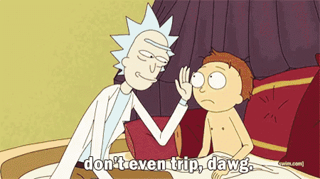 a cartoon of rick and morty saying " don 't even trip dawg "