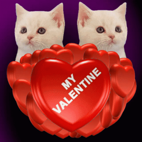 My Valentine Be My Valentine GIF - My Valentine Be My Valentine Valentines Day GIFs