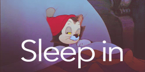 Sleep In GIF - Sleep In Cat Animated GIFs