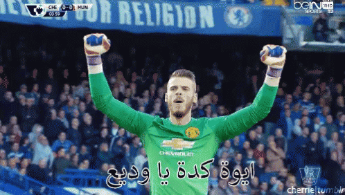 احتفال دي خيا ايوة كدة يا وديع مانشستر يونايتد كورة GIF - De Gea Manchester Premier League GIFs