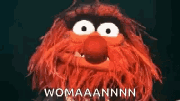 a muppet with a beard and big eyes is making a funny face and says womaannn .