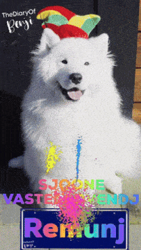 a white dog wearing a clown hat is sitting next to a sign that says " remunj "