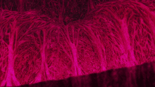 a person is laying on a bed in a dark room with a pink background .