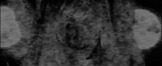 a black and white image with a grid pattern
