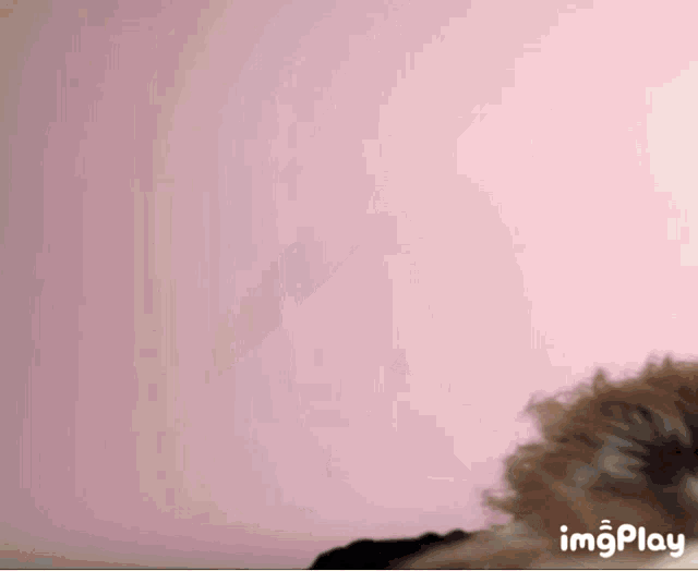 a pink background with the word imgplay on the bottom left