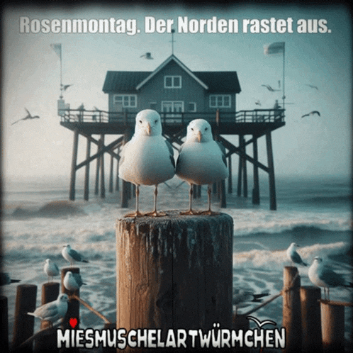 a couple of seagulls standing on a post with a house in the background