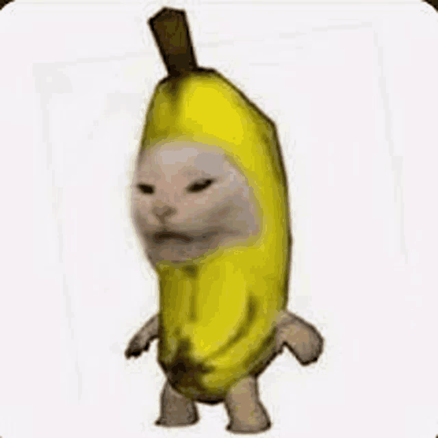 a cat is wearing a banana costume and walking .