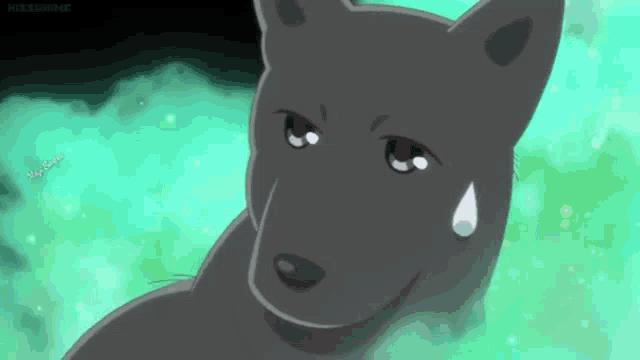 a close up of a cartoon dog with a tear coming out of its eye