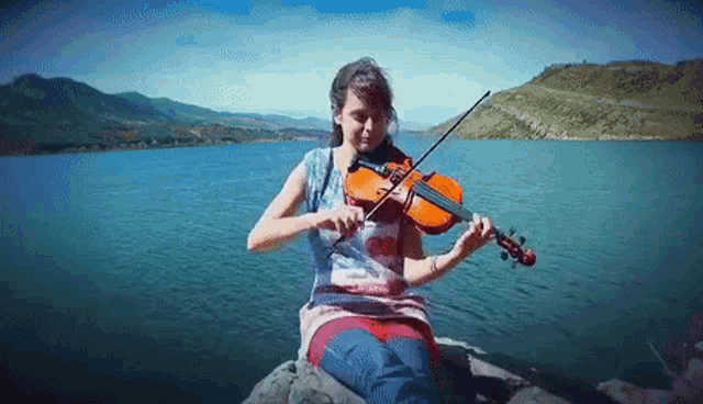 Fiddle Music GIF - Fiddle Music Violin GIFs