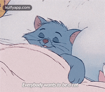 a cartoon cat laying on a bed with a caption that says everybody wants to be a cat