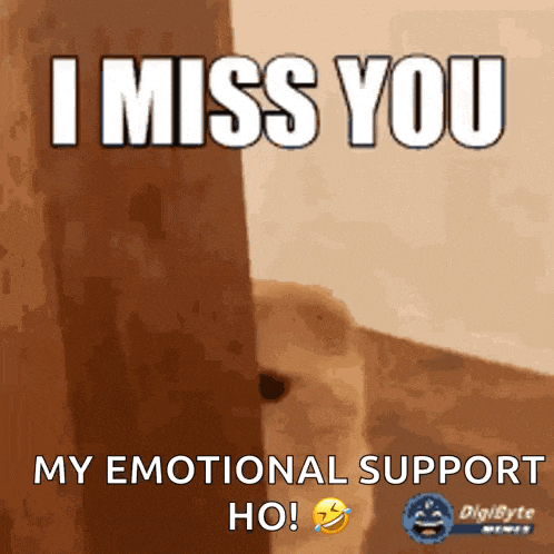 a picture of a dog with a caption that says i miss you my emotional support ho