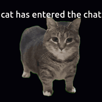 a cat with the words cat has entered the chat behind it