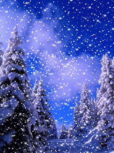 Snow Trees GIF - Snow Trees GIFs