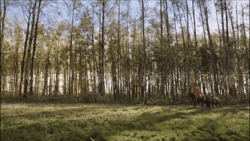 a man riding a horse in a field with a forest in the background