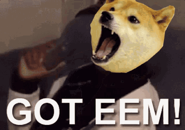 a picture of a dog with its mouth open and the words got eem written below it