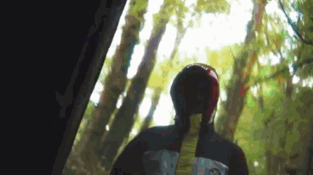 a person wearing a red helmet is walking through a forest .