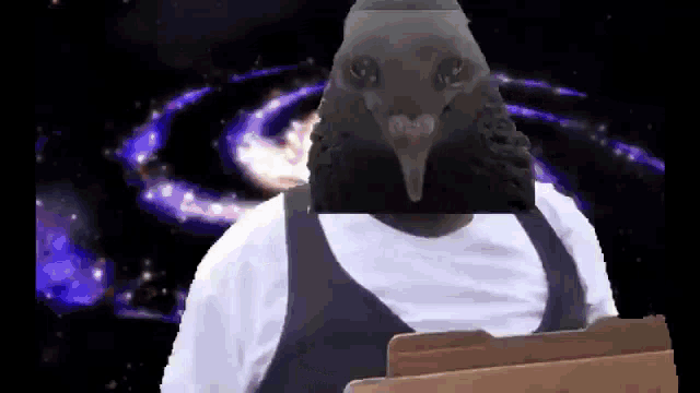 a man with a bird on his head holds a folder