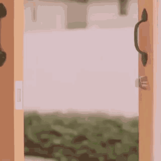 a close up of a wooden door with a handle .