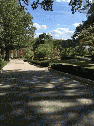 a driveway leading to a brick house with trees on both sides