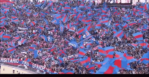 Chile Fans GIF - Chile Fans Crowd GIFs