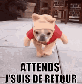 a small dog wearing a winnie the pooh costume is running on the sidewalk .