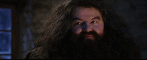 Hagrid Harry Potter GIF - Hagrid Harry Potter Bearded GIFs