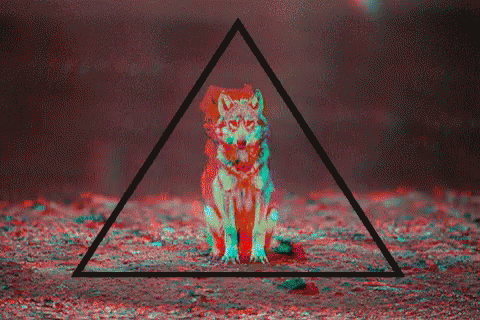 Wolf Triangle GIF - Wolf Triangle Trippy GIFs