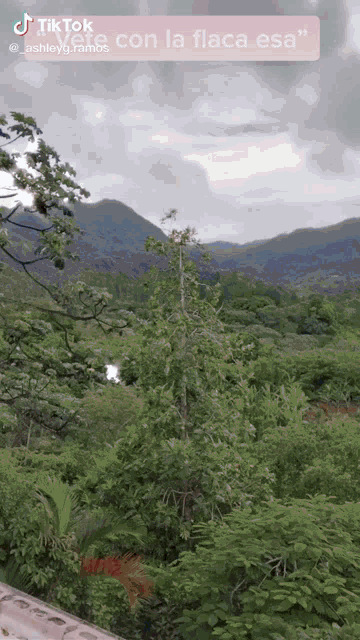 a picture of a lush green forest with mountains in the background and the caption " tiktok me con la flaca esa "