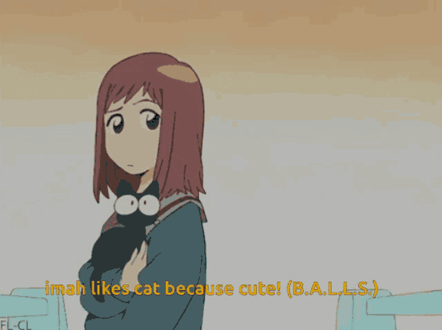 a cartoon of a girl holding a cat that says ' imah likes cat because cute ! '