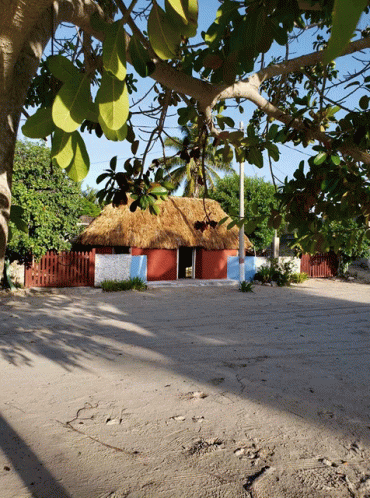 Casa De Paja Chabihau Yucatan GIF - Casa De Paja Chabihau Yucatan GIFs
