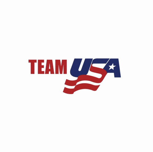a picture of a hockey player with the word usa on the bottom