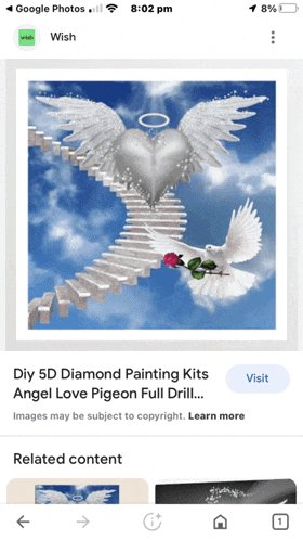 a phone screen shows a picture of an angel love pigeon