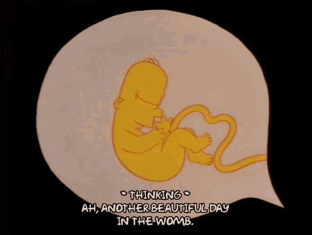 Baby Homer Womb GIF - Baby Homer Womb Another Beautiful Day GIFs