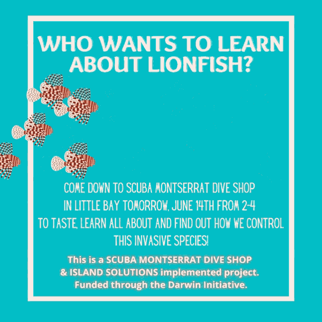 a poster that says " who wants to learn about lionfish " on it