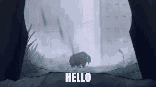 a picture of a bear says hello in the corner