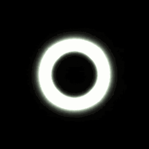 Halo Blackand White GIF