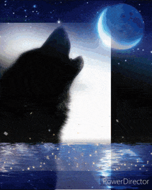 a picture of a wolf howling at the moon with a power director watermark