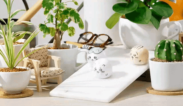 a cactus in a white pot sits on a table next to a chair and glasses