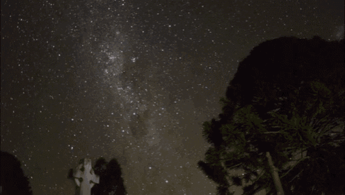 a starry night sky with trees in the foreground and a cross in the foreground