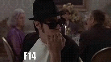 Blues Brothers F14 GIF