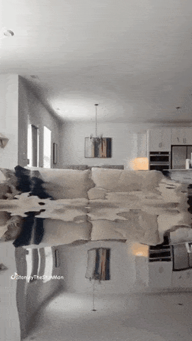 a living room with a couch and a reflection of a couch in the floor