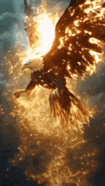 a bald eagle is flying through a cloudy sky surrounded by fire .