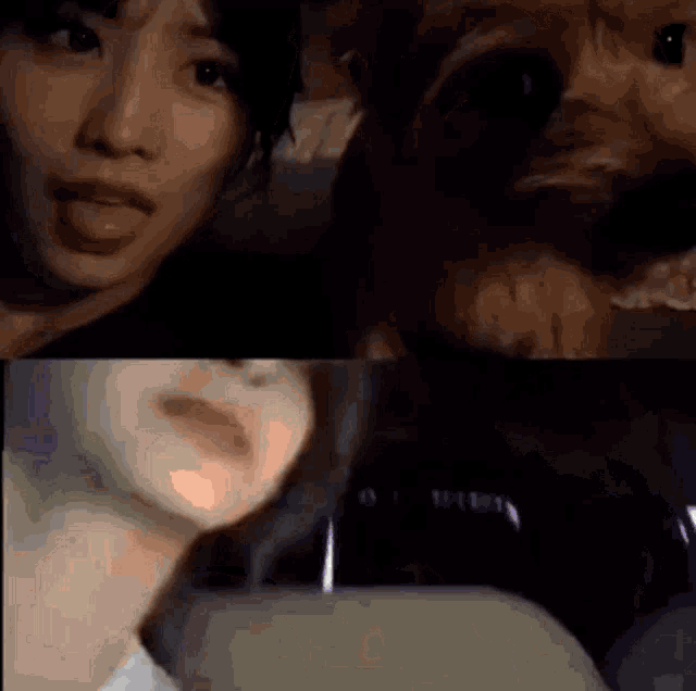 a woman is taking a picture of herself and a dog .