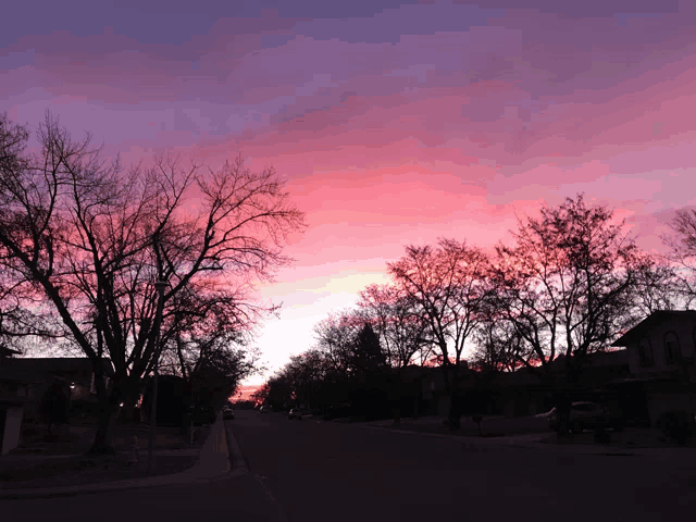 a sunset over a residential street with a pink and purple sky