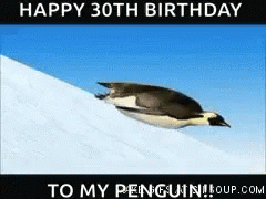 Penguin Happy GIF - Penguin Happy Birthday GIFs