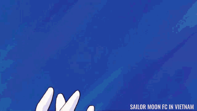 a blue background with the words sailor moon fc in vietnam below it