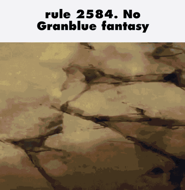rule 2584 no granblue fantasy is displayed on a painting